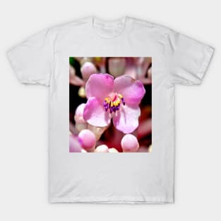 Lone Pink Flower Bloom T-Shirt